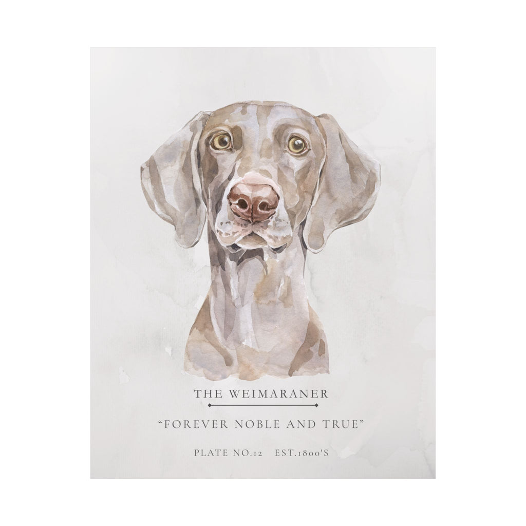 Vintage Dog Collection-Weimaraner Matte Print